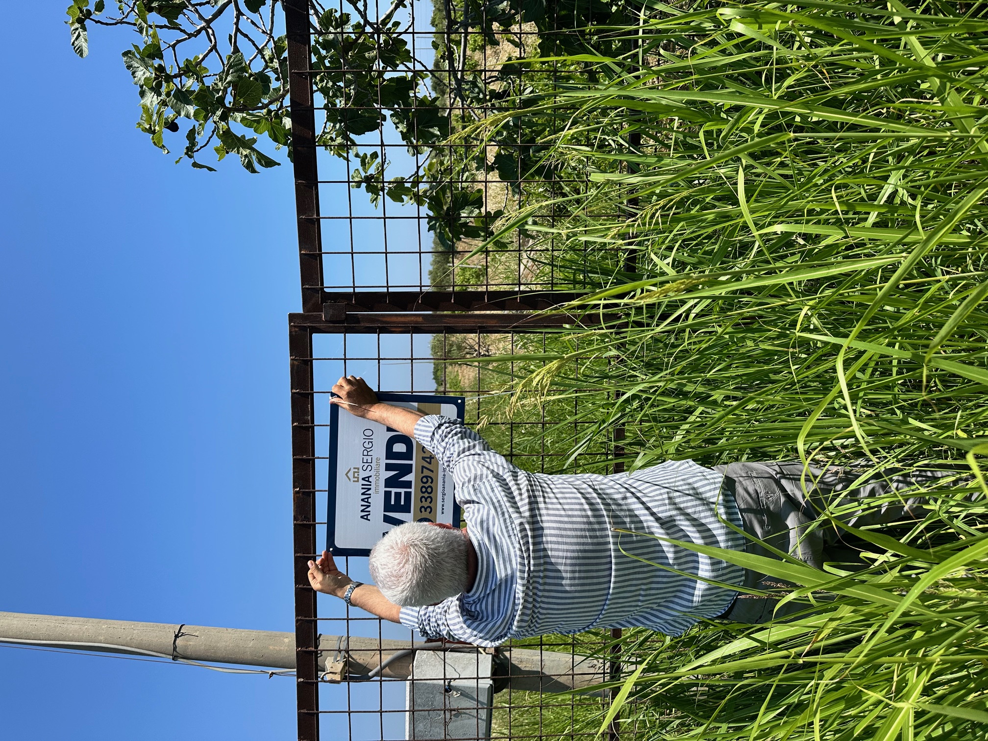 Terreno agricolo in vendita – Zona Piciare, Cirò Marina – 8.000 m²