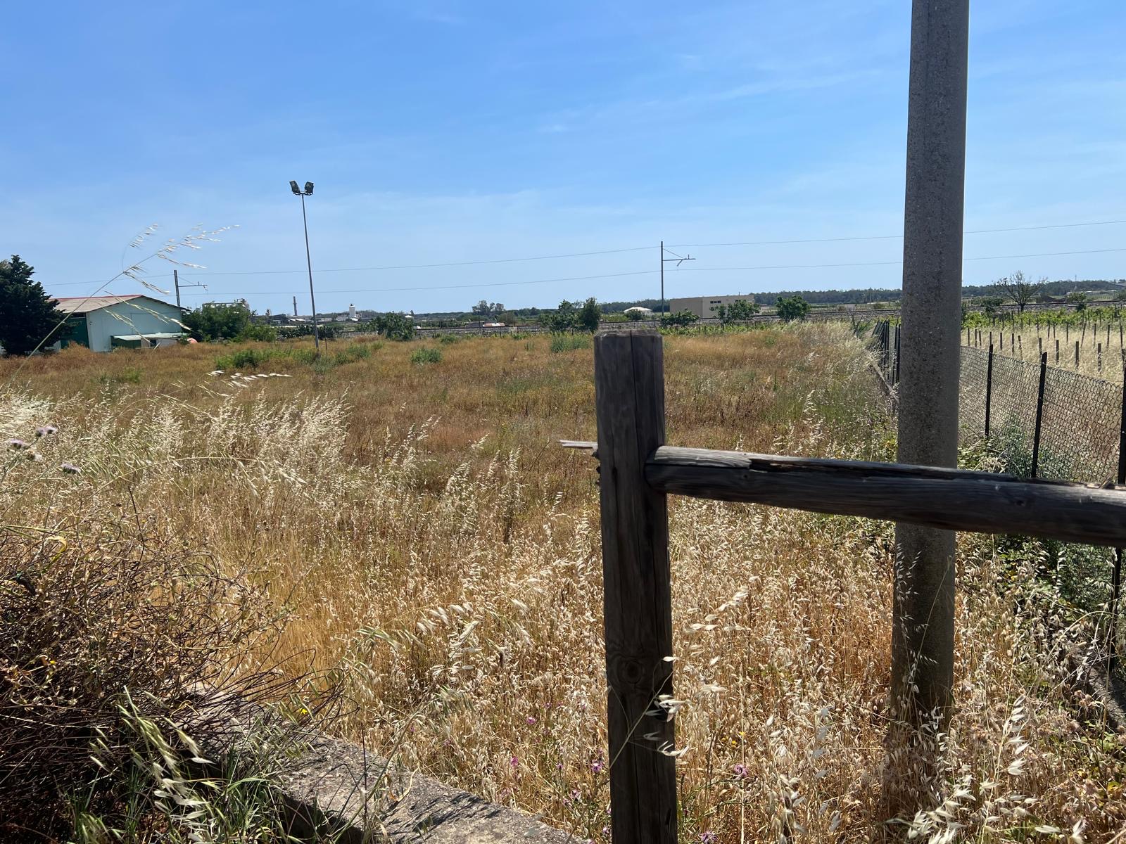 Vendesi Terreno Agricolo con Vigneto – 4.070 mq